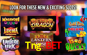 Desvendando o Mundo dos Jogos Virtuais na Tng Bet