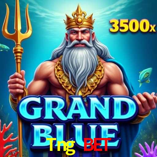 A Experiência Imersiva dos Cassinos Ao Vivo no Tng Bet