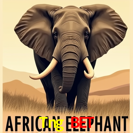 A Experiência Imersiva dos Cassinos Ao Vivo no Tng Bet