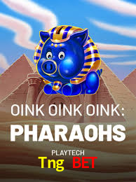 A Experiência Imersiva dos Cassinos Ao Vivo no Tng Bet